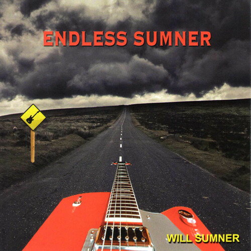 【輸入盤CD】【新品】Will Sumner / Endless Sumner 【K2016/6/17発売】