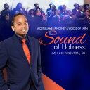 【輸入盤CD】【新品】James Apostle Pinckney & Voices Of Faith / Sound Of Holiness【K2020/11...