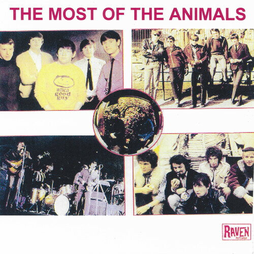 【輸入盤CD】【新品】ANIMALS / MOST OF THE ANIMALS【K2024/07/19発売】(アニマルズ)