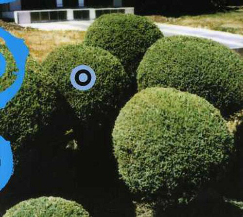 発売日: 2002/1/15輸入盤レーベル: Audio Dregs Records収録曲: 1.1 Sleeping (On Trains)1.2 Dawn1.3 Phone Lines1.4 Bathrobe1.5 Noon1.6 Air1.7 Afternoon1.8 Carpet1.9 Floor1.10 Fashion Magazine1.11 Car1.12 Hail Storm1.13 Hotel1.14 Sundownコメント:Made up of circular melodies softly pulsing rhythms & airy textural arrangements Carpet Musics finds its beauty in small & mundane objects that you find a block away from your house over more rigid monuments & art forms. These ideal forms are the spaces created between buildings or objects the disposable & temporary & singular moments created by the casting of light & shadow. Songs are usually based around one or two spiraling melodic keyboard parts built up then reduced an.Made up of circular melodies softly pulsing rhythms & airy textural arrangements Carpet Musics finds its beauty in small & mundane objects that you find a block away from your house over more rigid monuments & art forms. These ideal forms are the spaces created between buildings or objects the disposable & temporary & singular moments created by the casting of light & shadow. Songs are usually based around one or two spiraling melodic keyboard parts built up then reduced an.