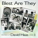 【輸入盤CD】【新品】DAVID HAAS / BEST OF DAVID HAAS VOL 1