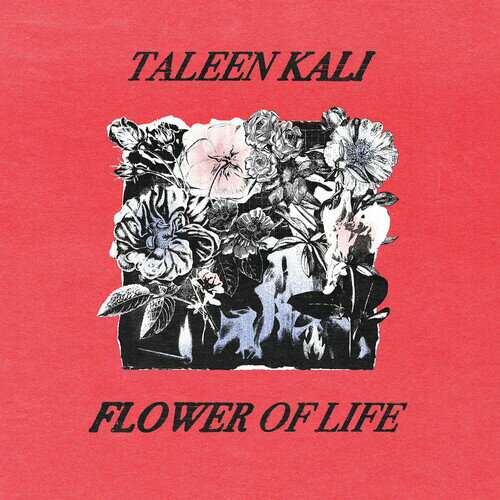 【輸入盤CD】【新品】TALEEN KALI / FLOWER OF LIFE【K2025/3/7発売】(2.0)