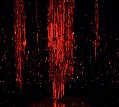 2025/6/6 発売輸入盤レーベル： PENULTIMATE PRESS収録曲：