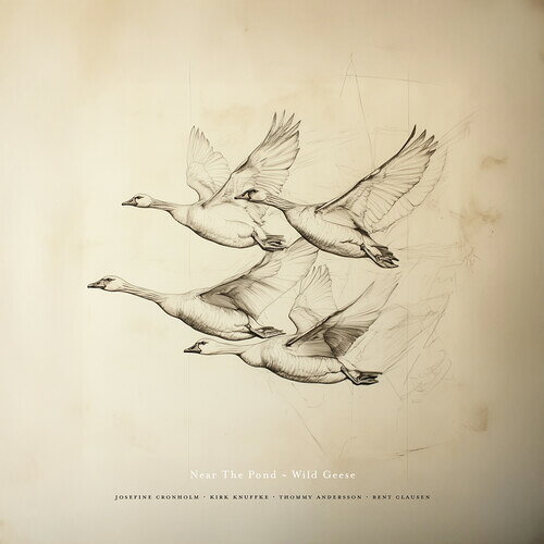 【輸入盤CD】【新品】NEAR THE POND / WILD GEESE【K2025/6/6発売】( ニアー・ザ・ポンド)