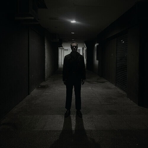 【輸入盤CD】【新品】DANCING PLAGUE / DOMAIN【K2025/9/12発売】