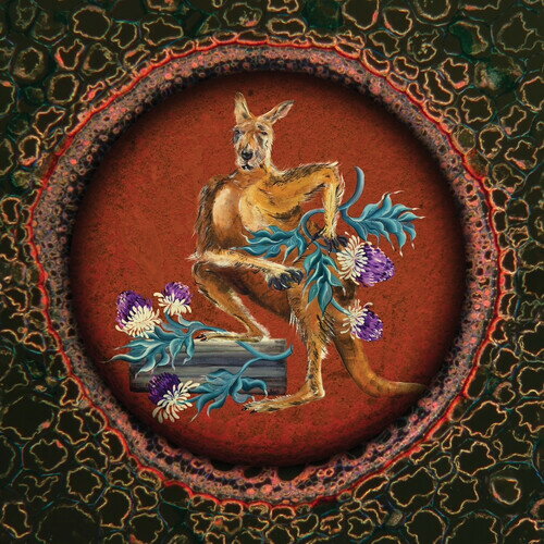 【輸入盤CD】【新品】CARDIACS / LSD (w/Booklet)【K2025/9/19発売】