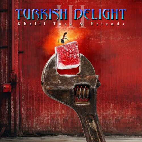 【輸入盤CD】【新品】VA / Turkish Delight Volume Three【K2025/11/21発売】