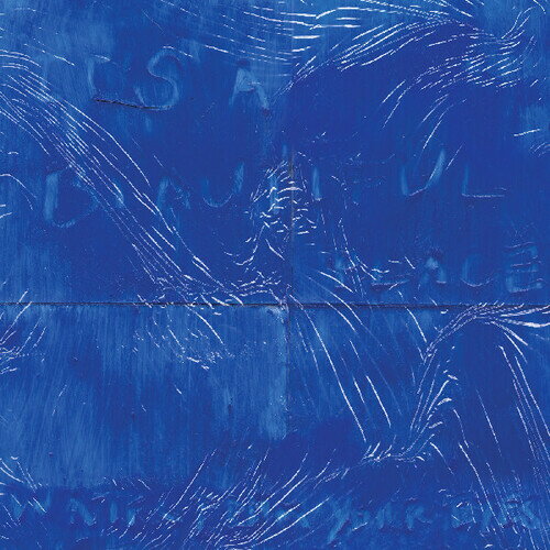 【輸入盤CD】【新品】WATER FROM YOUR EYES / IT'S A BEAUTIFUL PLACE【K2025/8/22発売】