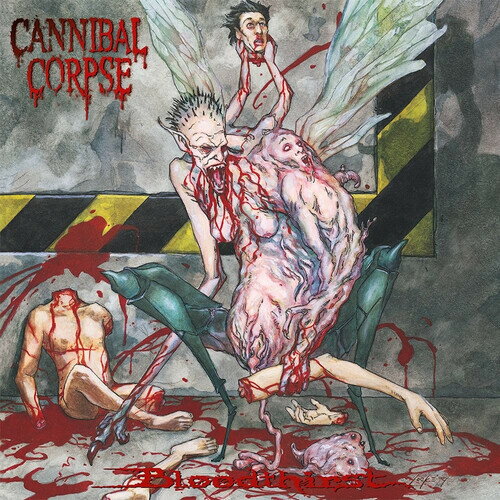 【輸入盤CD】【新品】CANNIBAL CORPSE / BLOODTHIRST【K2025/9/5発売】