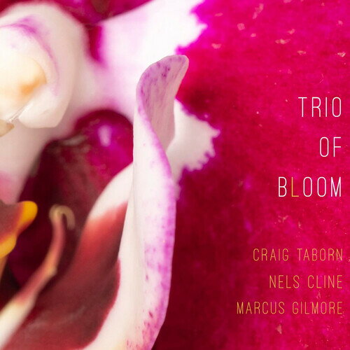 【輸入盤CD】【新品】TRIO OF BLOOM / TRIO OF BLOOM【K2025/9/26発売】