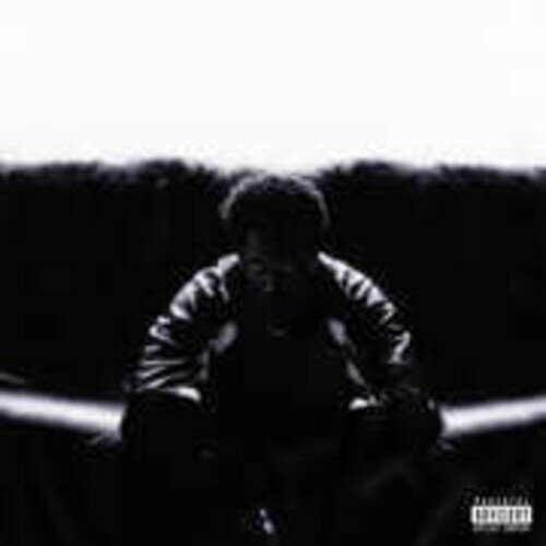 2025/6/27 発売輸入盤レーベル： RCA収録曲：1 Pressure2 Spit It Out3 Call U Up4 Weird5 Dance Dance Dance Dance6 Feel a Way7 Still8 Video9 Seemingly10 Drip Sweat11 Hold on12 Please Babe13 Stepped on14 More Than a Little Bit15 Do 2 Me16 Witchy17 Lover/Friend18 Wasted Words19 Snap My Finger20 Stuntin21 Out of LuckWhen KAYTRANADA left the 2021 Grammys with two awards (Best Dance/Electronic Album for 2019's BUBBA and Best Dance Recording for "10%"), he made history as the first Black and first openly gay artist to win the former category. The industry recognition was long overdue for the producer, who had been building a devout following for nearly a decade. "In my mind I was finally a true artist," he tells Apple Music's Zane Lowe. After relocating to Los Angeles, he channeled that confidence into making his third solo album, TIMELESS: "It felt more serious-more legit. I was still having fun making TIMELESS, but making BUBBA was another type of fun where I didn't really take it seriously." Like it's predecessor, TIMELESS is a collection of club grooves for catching a vibe. It's packed with guests who effortlessly acclimate to KAYTRANADA's singular sound while imprinting their own touch. Ravyn Lenae offers breathy seductions on the hard-edged R&B of "Video," and Thundercat delivers comical disses in soothing falsetto on the jazzy hip-hop of "Wasted Words." Back-to-back tracks "Do 2 Me" (featuring Anderson.Paak and SiR) and "Witchy" (featuring Childish Gambino) hit an energy peak, their tales of late-night infatuation framed by sultry, body-enveloping production.