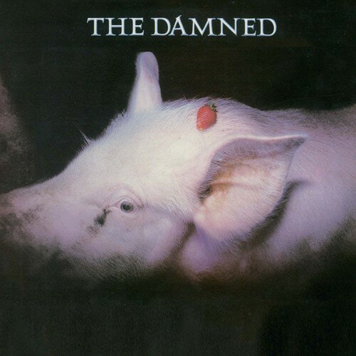 【輸入盤CD】【新品】DAMNED / STRAWBERRIES (Digipak)【K2026/2/27発売】(ダムド)