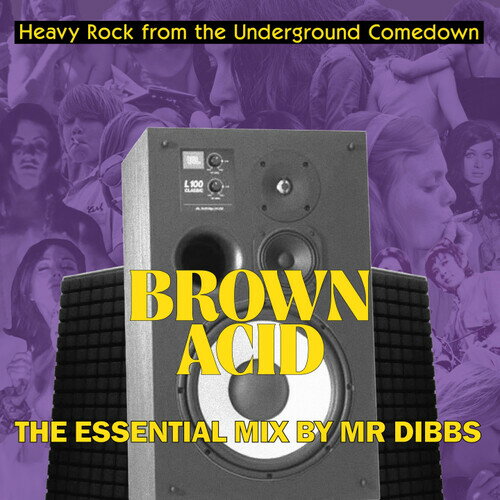 樂天商城 - 【輸入盤CD】【新品】VA / BROWN ACID ESSENTIAL MIX BY MR. DIBBS【K2026/2/6発売】