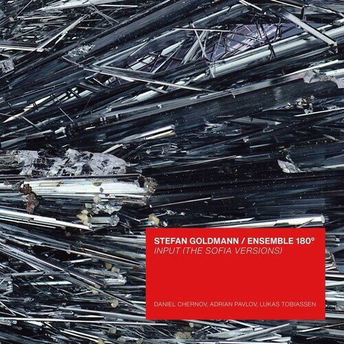 【輸入盤CD】【新品】STEFAN GOLDMANN/ENSEMBLE 180 / INPUT (SOFIA VERSIONS)【K2025/10/10発売】