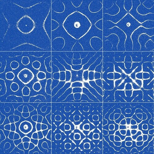 2026/2/20 発売輸入盤レーベル：ROOM40収録曲：