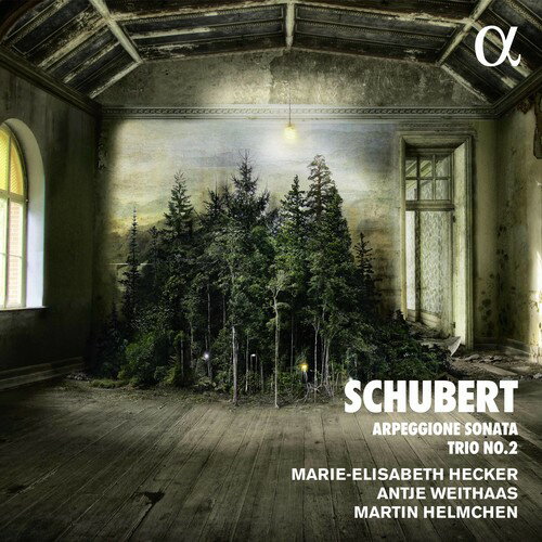 発売日: 2017/11/17輸入盤USレーベル: Alpha収録曲: 1.1 I. Allegro - Various Performers1.2 II. Andante Con Moto - Various Performers1.3 III. Scherzando. Allegro Moderato - Various Performers1.4 IV. Allegro Moderato - Various Performers1.5 I. Allegro Moderato - Antje Weithaas/Martin Helmchen1.6 II. Adagio - Antje Weithaas/Martin Helmchen1.7 III. Allegretto - Antje Weithaas/Martin Helmchenコメント: