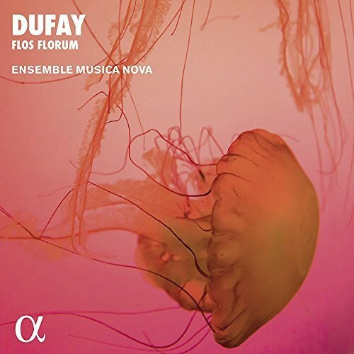 発売日: 2018/8/24輸入盤USレーベル: Alpha収録曲:コメント:Like many of his contemporaries, Guillaume Dufay was greatly devoted to the Virgin Mary. His Marian works comprise liturgical pieces sung during the Mass or the Office, but also religious motets written to new poems. It was probably during his first period in the chapel of the dukes of Savoy that Dufay produced a complete cycle of polyphonic hymns for the Office of Vespers of the principal feasts. Their interpretation obeys the principle of alternatim chant, that is to say alternation between monophonic odd-numbered verses, sung in plainchant, and even-numbered polyphonic verses. Dufay employs here the techniques of composition already in use in the fourteenth century. The liturgical melody is sung in the highest voice but appears transformed according to the principles of paraphrase: the composer's inventive contribution, in this context, resides in the flexibility of the mensuration (often ternary) and the grace of his ornamentation. The other two, lower voices accompany it in a virtually homophonic style. The influence of the improvisatory practice known as 'fauxbourdon' is manifest. In it's simple form, the melody of the cantus is doubled by the tenor and the contratenor, respectively a sixth and a fourth lower. The result is a succession of highly characteristic chords, interrupted only for the cadences.Like many of his contemporaries, Guillaume Dufay was greatly devoted to the Virgin Mary. His Marian works comprise liturgical pieces sung during the Mass or the Office, but also religious motets written to new poems. It was probably during his first period in the chapel of the dukes of Savoy that Dufay produced a complete cycle of polyphonic hymns for the Office of Vespers of the principal feasts. Their interpretation obeys the principle of alternatim chant, that is to say alternation between monophonic odd-numbered verses, sung in plainchant, and even-numbered polyphonic verses. Dufay employs here the techniques of composition already in use in the fourteenth century. The liturgical melody is sung in the highest voice but appears transformed according to the principles of paraphrase: the composer's inventive contribution, in this context, resides in the flexibility of the mensuration (often ternary) and the grace of his ornamentation. The other two, lower voices accompany it in a virtually homophonic style. The influence of the improvisatory practice known as 'fauxbourdon' is manifest. In it's simple form, the melody of the cantus is doubled by the tenor and the contratenor, respectively a sixth and a fourth lower. The result is a succession of highly characteristic chords, interrupted only for the cadences.