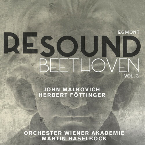 L.V. Beethoven/Bernarda Bobro/Martin Haselbock / Resound: Beethoven 3 