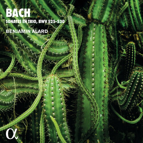 Pachelbel - 【輸入盤CD】【新品】J.S. Bach/Alard / Trio Sonatas For Organ【K2021/6/25発売】