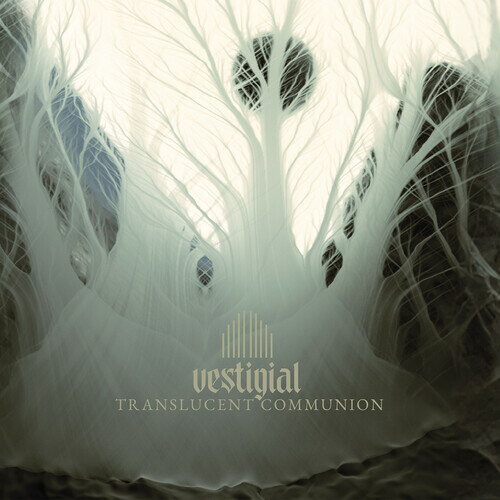 VESTIGIAL / TRANSLUCENT COMMUNION