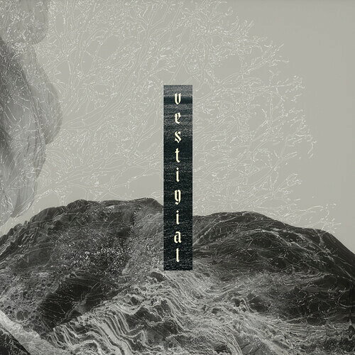 VESTIGIAL / DESCENDING VASTNESS