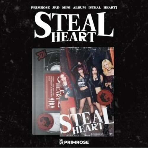 Asia - 【輸入盤CD】【新品】PRIMROSE / STEAL HEART【K2024/11/22発売】