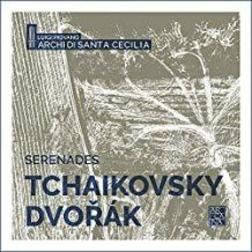 Dvorak/Piovano / Serenades