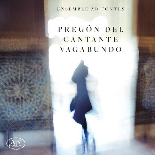 【輸入盤CD】【新品】VA / Pregon Del Cantante Vagabundo【K2020/11/6発売】