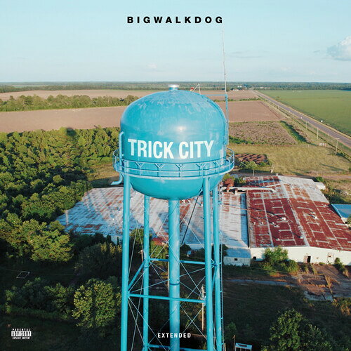 Artist Name: R - 【輸入盤CD】【新品】Bigwalkdog / Trick City (On Demand CD)【K2022/10/21発売】