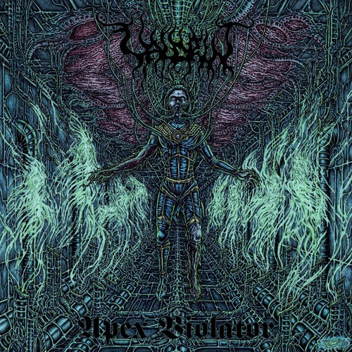 VALDRIN / APEX VIOLATOR