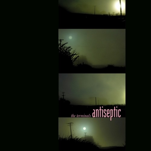 Terminals / Antiseptic 
