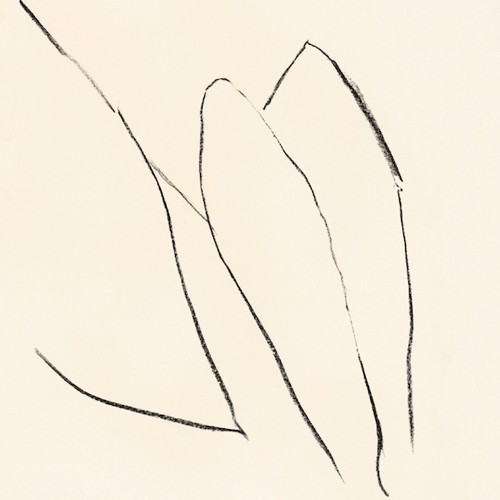 Jon Porras / Voices Of The Air 