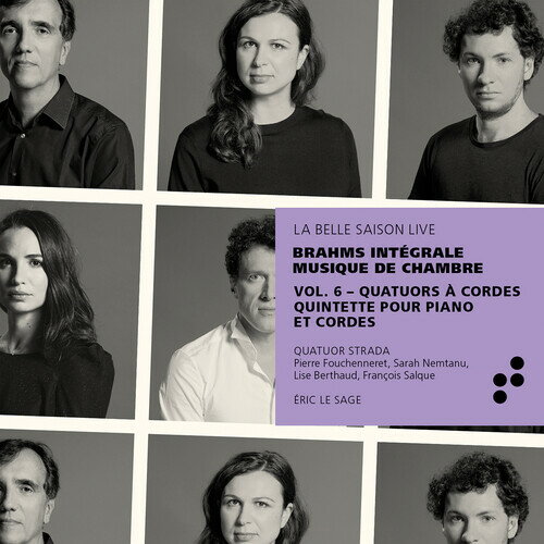 【輸入盤CD】【新品】Brahms/Sage/Quatuor Strada / Integrale Musique De Chamber 6 (2PK)【K2020/3/27発売】
