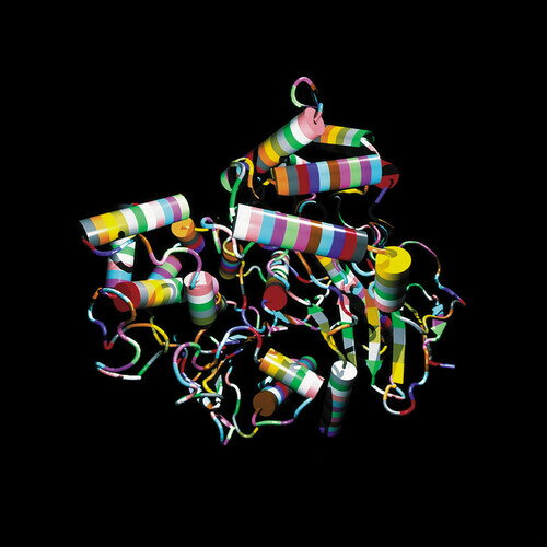 2020/4/3 発売輸入盤レーベル: FACTORY BENELUX収録曲：