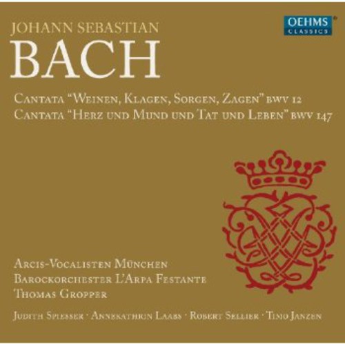 J.S. Bach/Arcis-Vocalisten Munich/Janzen / Cantatas (バッハ:カンタータ/トーマス・グロッパー、アルパ・フェスタンテ・バロック管弦楽団)