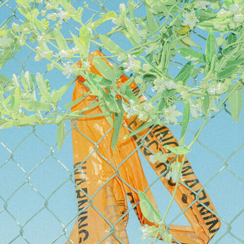 LOCKSTEP / I KNOW WHAT I SAW