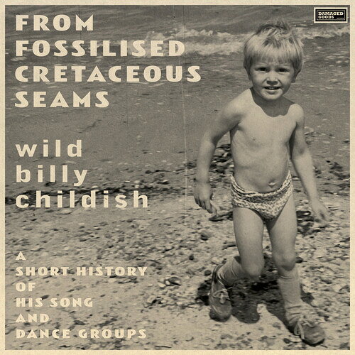 【輸入盤CD】【新品】BILLY CHILDISH / FROM FOSSILISED CRETACEOUS SEAMS: A SHORT HISTORY【K2024/07/05発売】