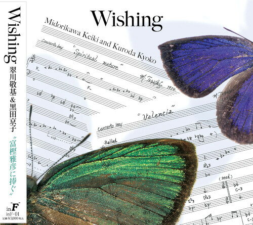 KEIKI MIDORIKAWA / WISHING: DEDICATED TO MASAHIKO TOGASHI