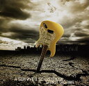 【国内盤CD】田川伸治 ／ A SURVIVED SCARECROW