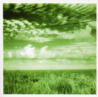 【国内盤CD】【新品】uma uma