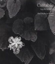 【国内盤CD】【新品】カンタービレ 森下幸路(VN)コリー(P)