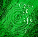 【国内盤CD】【新品】瀬木貴将 / Tree of Life