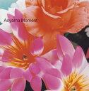【国内盤CD】【新品】Aoyama Moment