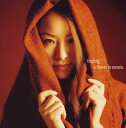 【国内盤CD】【新品】ティンティン / ユーラシアの花
