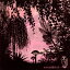 【国内盤CD】笹川美和 / miwaMIRAGE 2,933円