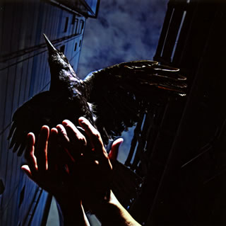 【国内盤CD】9mm Parabellum Bullet ／ Cold Edge e.p.