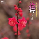 【国内盤CD】【新品】平成二十二年度(第四十六回)コロムビア全国吟詠コンクール 課題吟CD「梅」