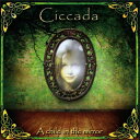 【国内盤CD】【新品】チッカーダ / ア・チャイルド・イン・ザ・ミラー