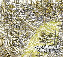【国内盤CD】【新品】チャド・ヴァンガーレン / ディスアイパー・アイランド