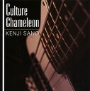 【国内盤CD】KENJI SANO ／ Culture Chameleon